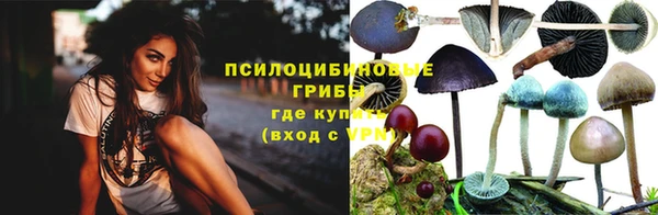 кокс Корсаков