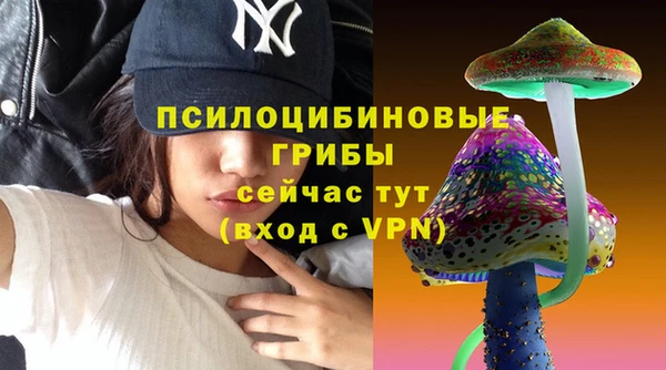 а пвп мука Коряжма